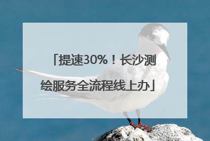 提速30%！长沙测绘服务全流程线上办